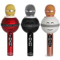 Karaoke mikrofon WS-878
