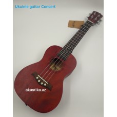 Ukulele Concert Weiba