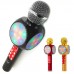 Karaoke mikrofon LS-1816